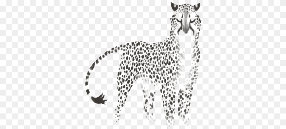 Jaguar, Animal, Cheetah, Mammal, Wildlife Free Transparent Png