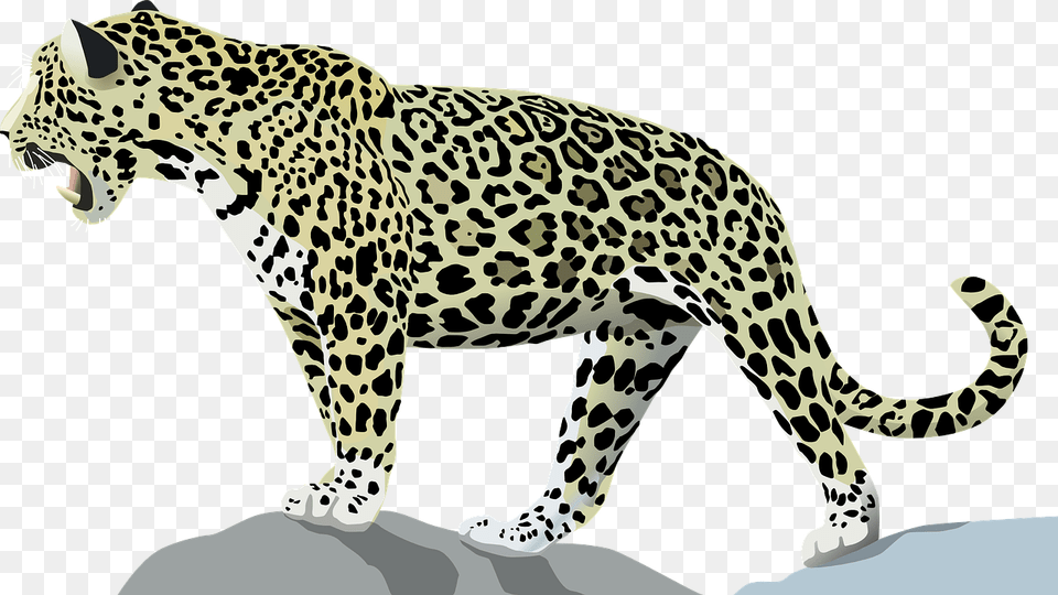 Jaguar Animal Cat Wild Jungle Mammal Feline Transparent Jaguar Clip Art, Panther, Wildlife Png Image