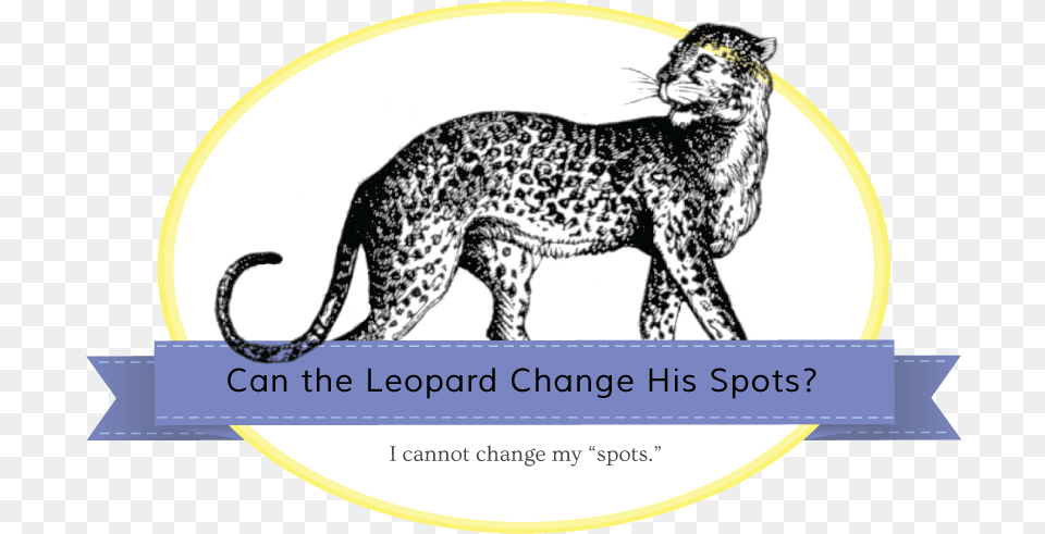 Jaguar Banner Cheetah, Animal, Mammal, Wildlife, Panther Png Image