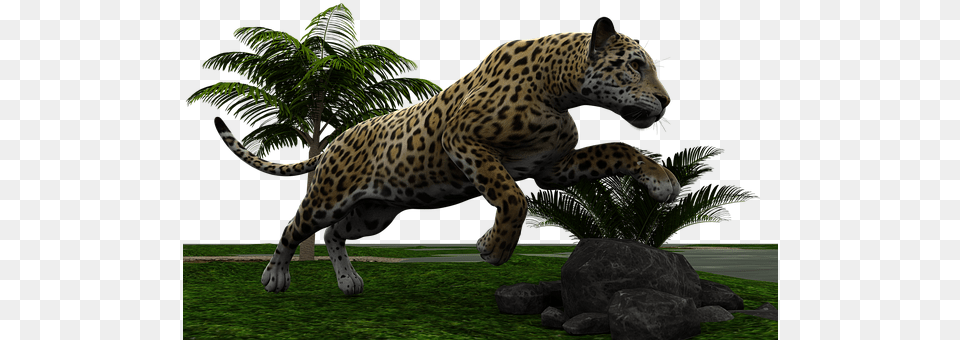 Jaguar Big Cat Wildcat Predator Dangerous Jaguar, Animal, Mammal, Panther, Wildlife Png