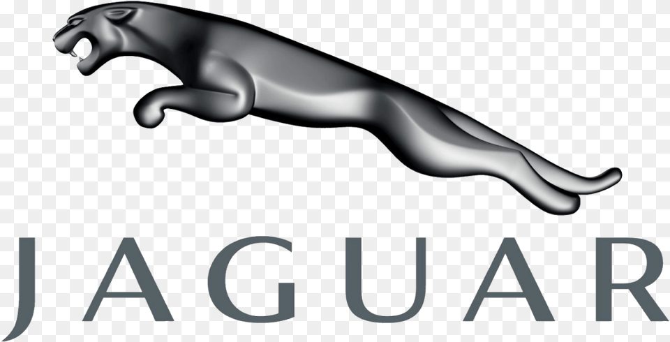 Jaguar Car Logo Image Jaguar Logo, Animal, Mammal, Panther, Wildlife Free Png Download