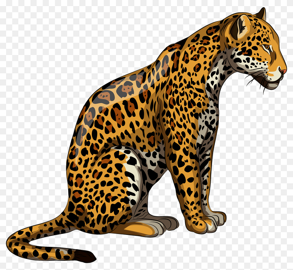 Jaguar Clipart, Animal, Mammal, Panther, Wildlife Png