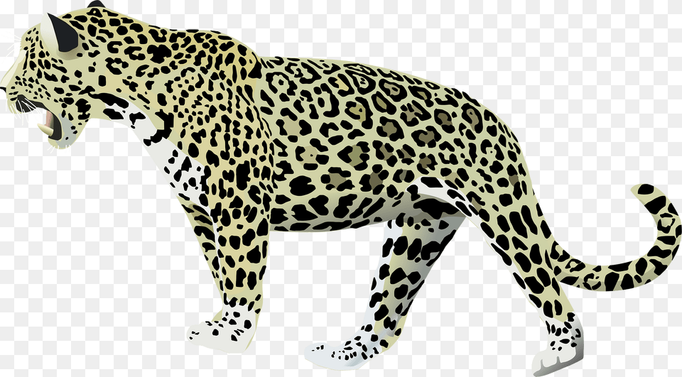 Jaguar Clipart, Animal, Mammal, Panther, Wildlife Free Png Download