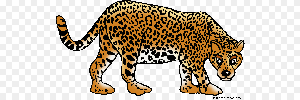 Jaguar Clipart Realistic For Free Download Sharma, Animal, Cheetah, Mammal, Wildlife Png