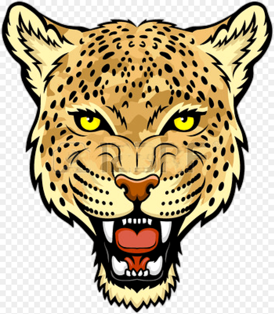 Jaguar Face Snow Leopard Cartoon Face, Animal, Cheetah, Mammal, Wildlife Free Png