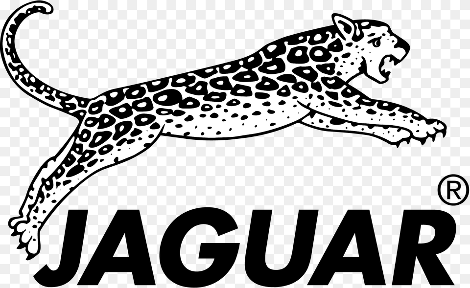 Jaguar Logo Hairdressing Logo Jaguar Hair Cut, Animal, Cheetah, Mammal, Wildlife Png Image