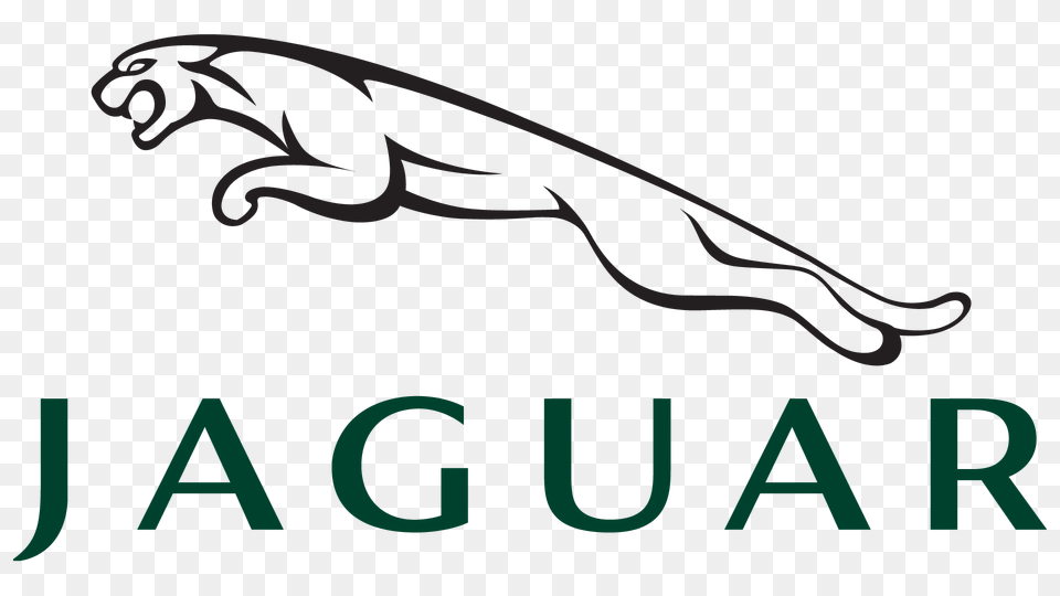 Jaguar Logo Hd Meaning Information, Animal, Fish, Sea Life, Shark Png Image