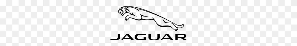 Jaguar Logo The Eye Emporium, Art, Accessories, Smoke Pipe Free Transparent Png