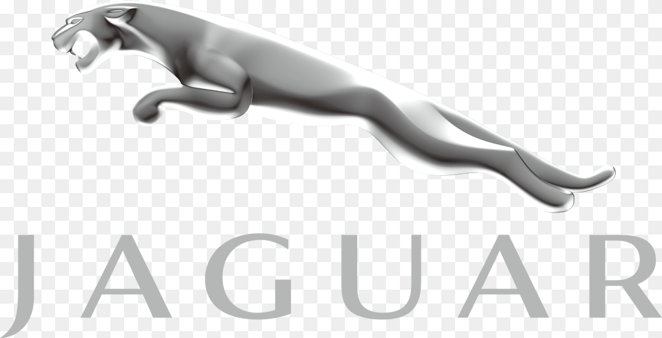 Jaguar Logo Wallpaper Logo Of Car Single, Smoke Pipe Png Image