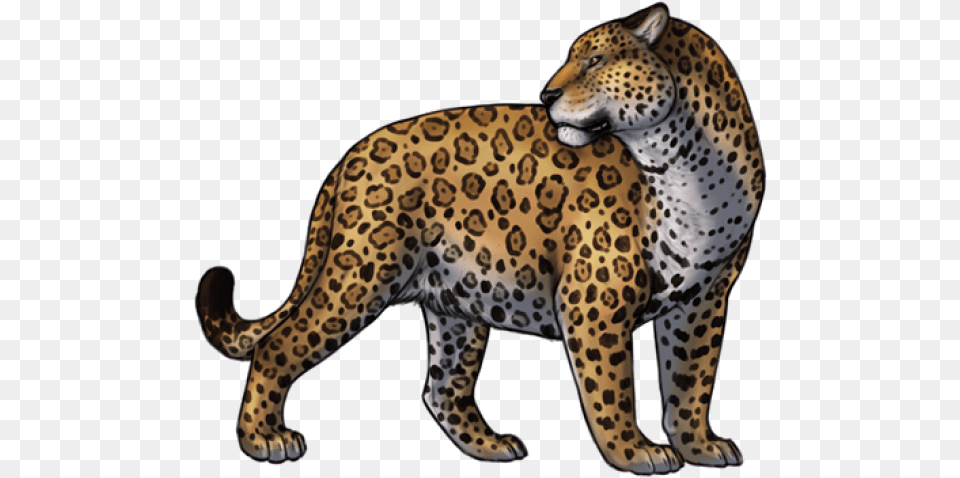 Jaguar Transparent Jaguar, Animal, Cheetah, Mammal, Wildlife Free Png Download