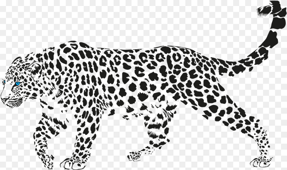 Jaguar Walking Pic Jaguar Walking, Animal, Cheetah, Mammal, Wildlife Free Png