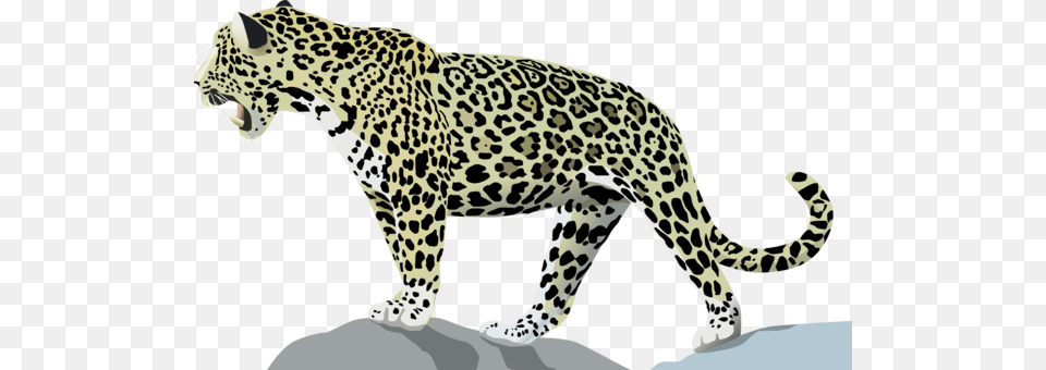 Jaguar Wildcat Felidae Animal Cartoon Jaguar, Mammal, Panther, Wildlife Free Png Download