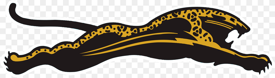 Jaguars, Head, Person, Face Free Png