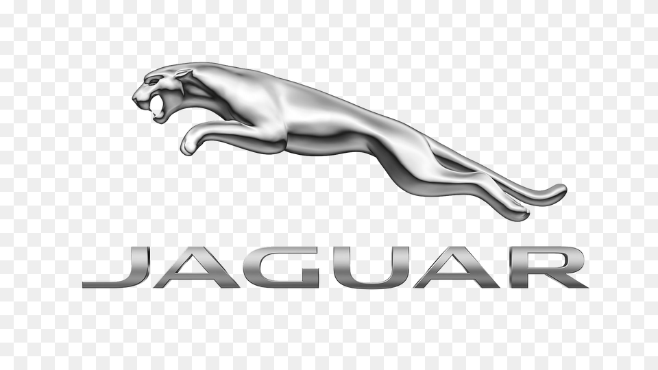 Jaguars New Logo Receives Mixed Review Hatfields Jaguar, Accessories, Smoke Pipe Png