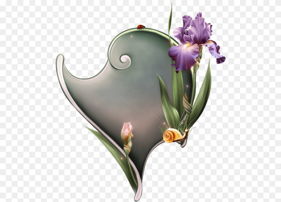 Jaguarwoman, Flower, Flower Arrangement, Iris, Petal Free Png