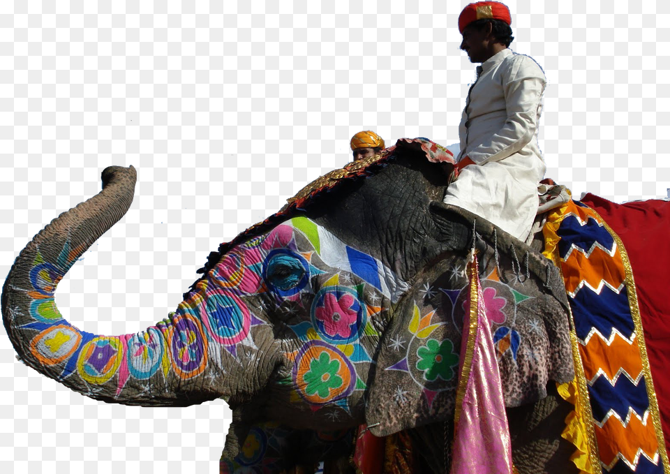 Jaipur Elephant Festival Background, Adult, Male, Man, Person Free Png