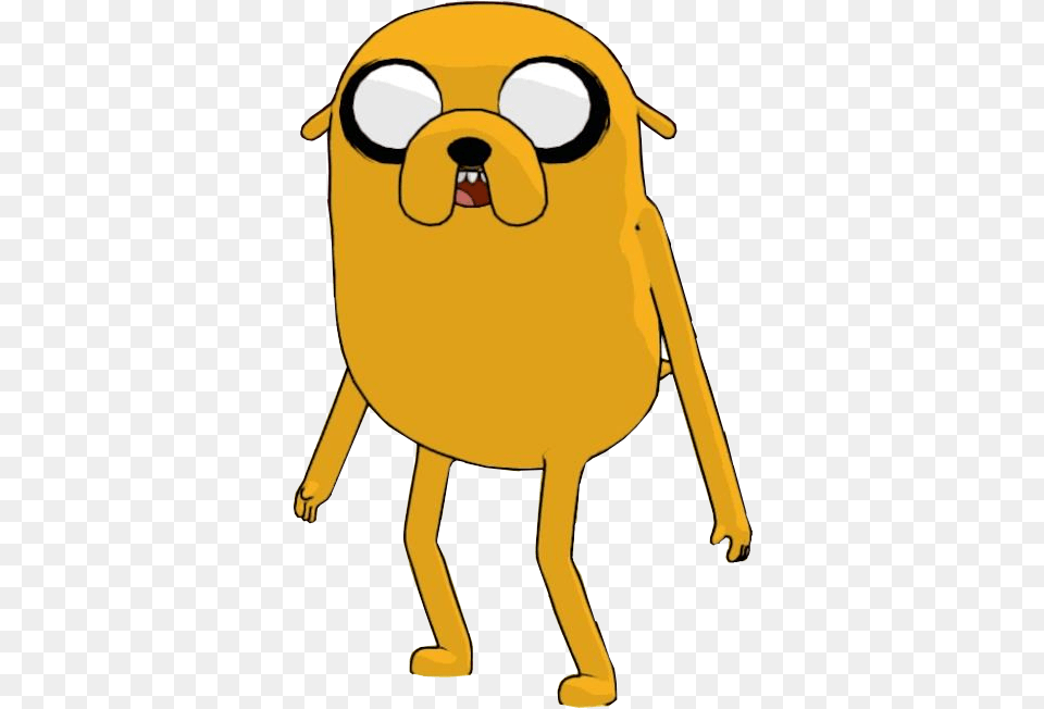 Jake, Animal, Kangaroo, Mammal Free Transparent Png