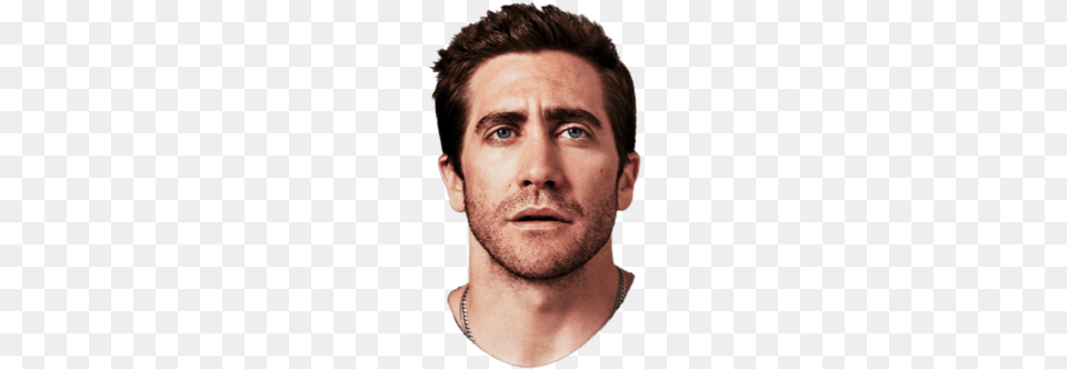 Jake Gyllenhaal Looking Up Jake Gyllenhaal 2014 Photoshoot, Portrait, Beard, Photography, Face Free Png