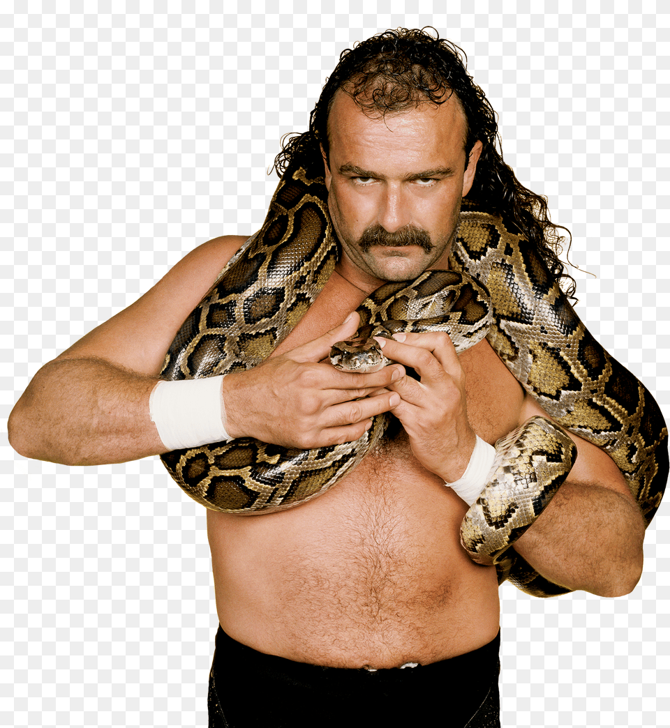 Jake The Snake Roberts Pro Jake The Snake Roberts Free Transparent Png