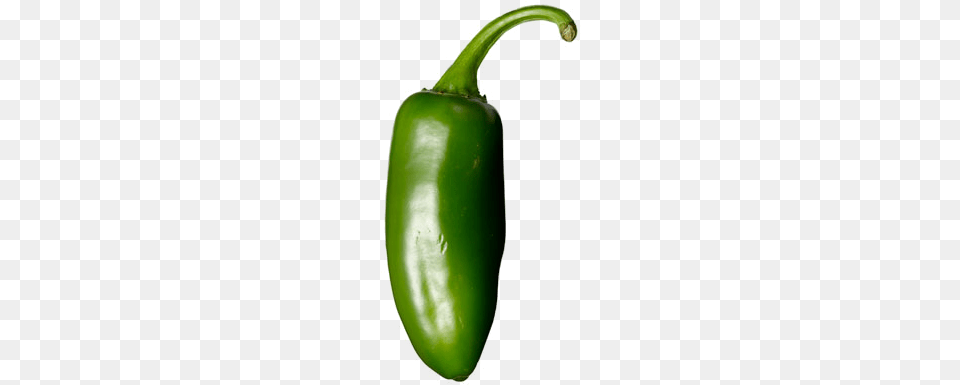 Jalapeno Jalapeno Jpg, Bell Pepper, Food, Pepper, Plant Free Png Download