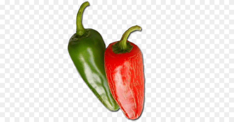 Jalapeno M Pepper Buy Hybrid Vegetable Flower, Bell Pepper, Food, Plant, Produce Free Png Download