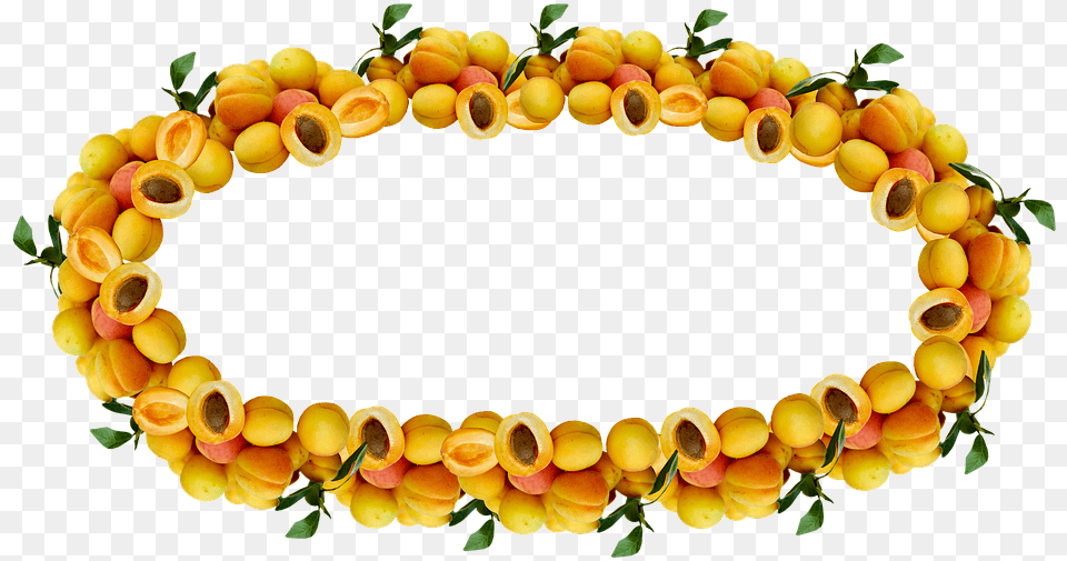 Jam Clipart Apricot Jam Circle, Food, Fruit, Plant, Produce Free Transparent Png