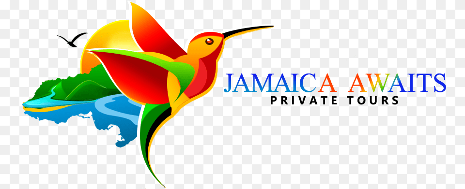 Jamaica Awaits Private Tours Jamamcian Bird, Art, Graphics, Animal, Beak Free Png