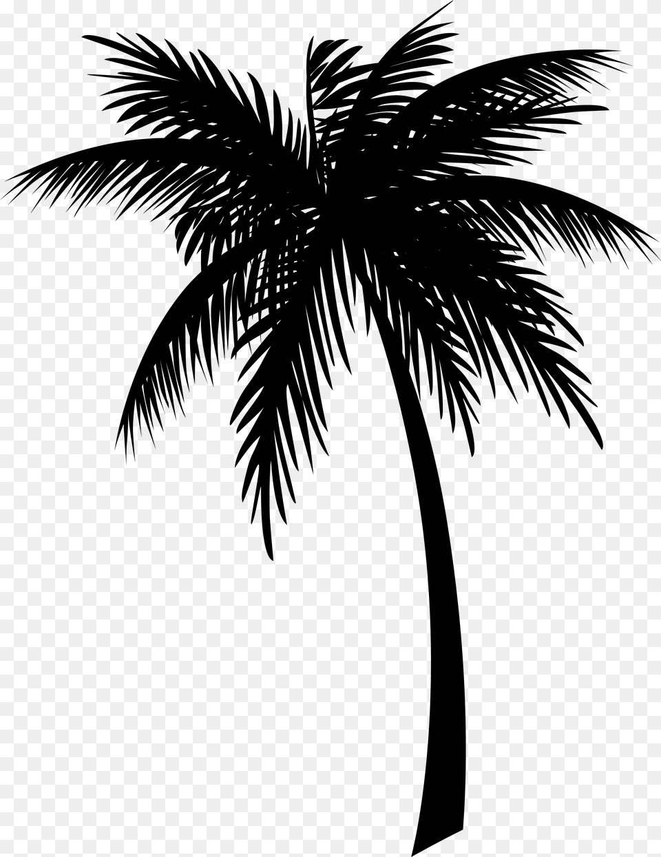 Jamaica Coconut Clip Art Drawing Palm Trees Coconut Tree Silhouette, Gray Png