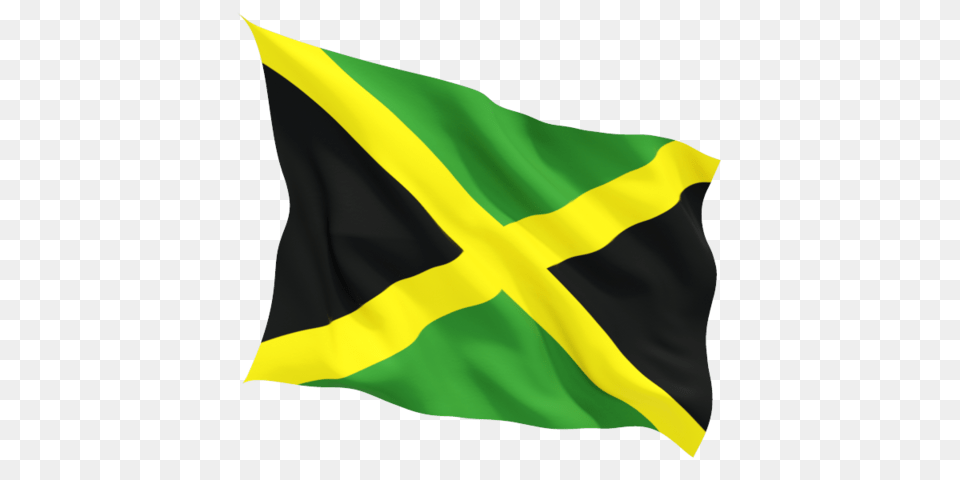 Jamaica Flag Transparent, Animal, Fish, Sea Life, Shark Free Png