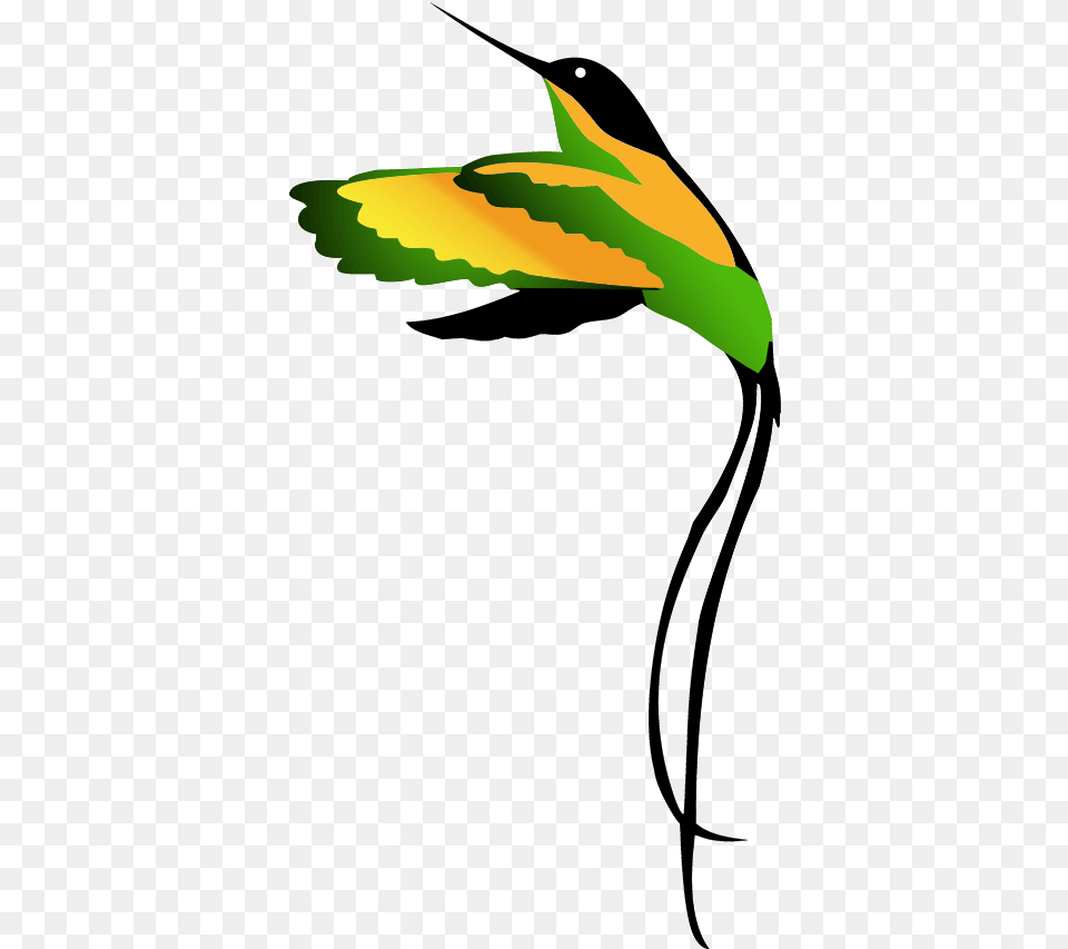 Jamaican National Bird Clipart Drawing Drawing Jamaican National Bird, Leaf, Plant, Green, Person Free Png