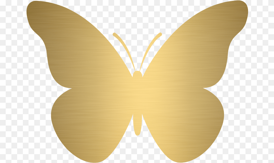 Jami Young, Animal, Butterfly, Insect, Invertebrate Png