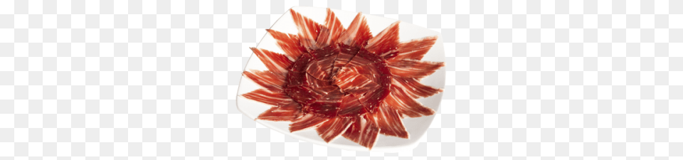 Jamon, Food, Ketchup, Meat, Pork Free Png