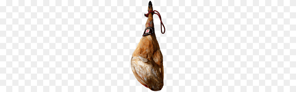 Jamon, Food, Meat, Pork, Roast Free Transparent Png