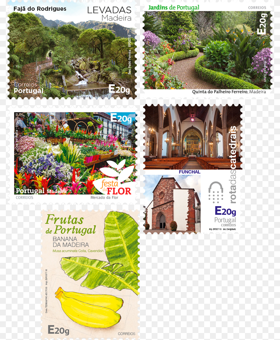Jan Botanical Garden, Architecture, Building, Postage Stamp, Person Free Png