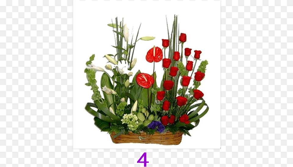 Jane Candy, Flower, Flower Arrangement, Flower Bouquet, Plant Png Image