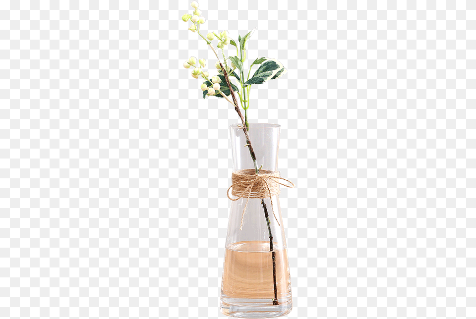 Jane European Modern Glass Dried Flower Decoration For Table, Flower Arrangement, Jar, Plant, Pottery Free Transparent Png