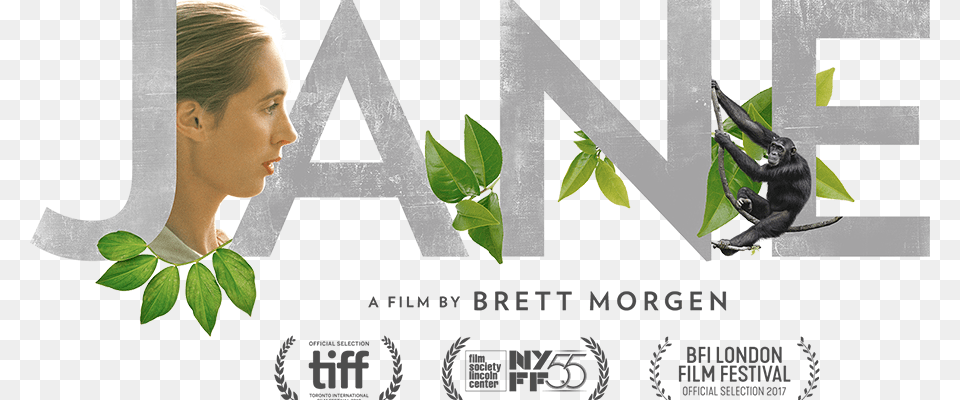 Jane Goodall Documentary, Adult, Poster, Plant, Person Free Transparent Png