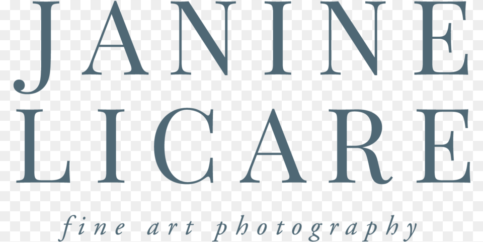 Janine Licare Photography Full Logo, Text, Alphabet, Gas Pump, Machine Free Transparent Png