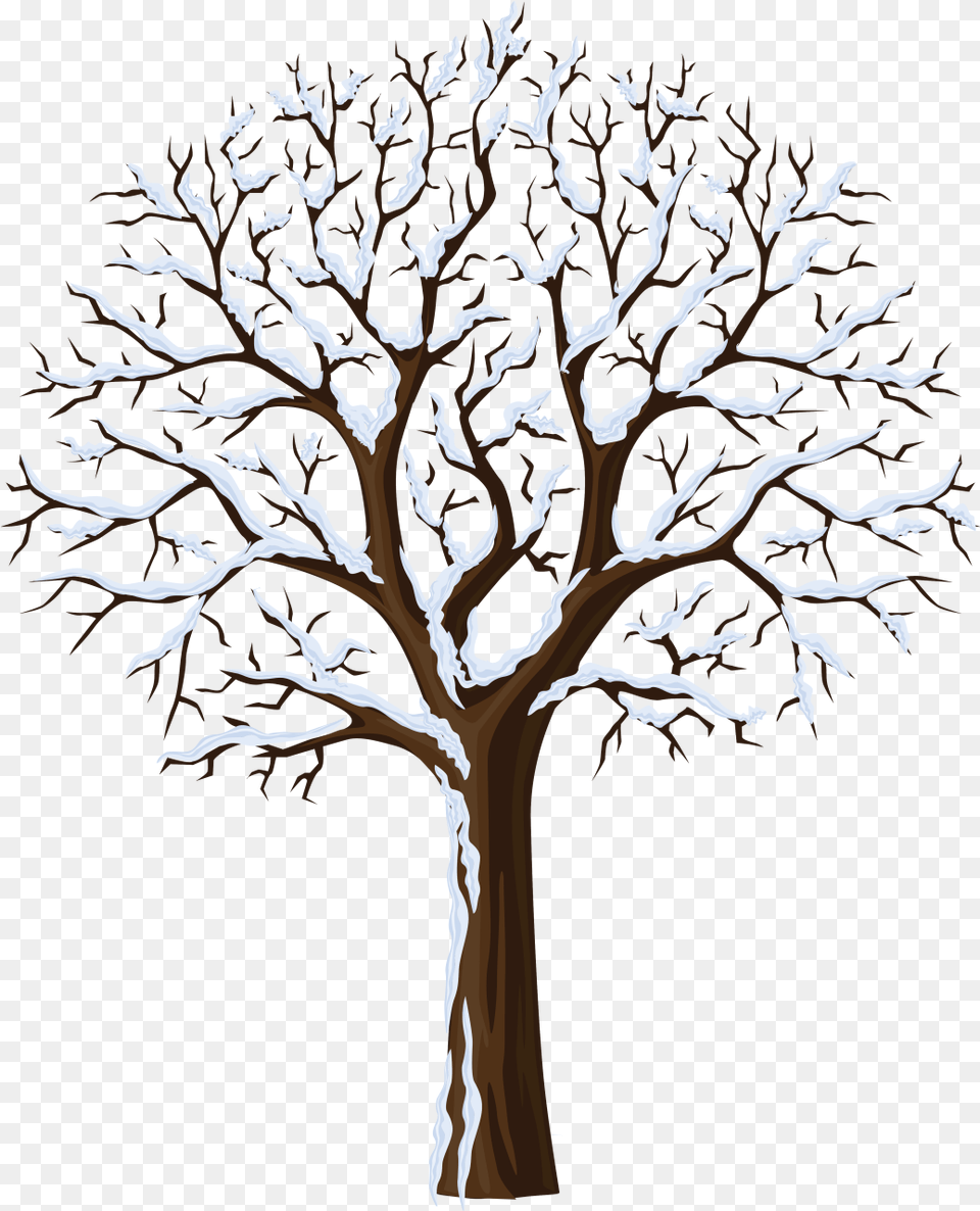 January Clipart Snowtree Plants In Different Seasons, Plant, Tree Trunk, Tree, Wood Free Png Download
