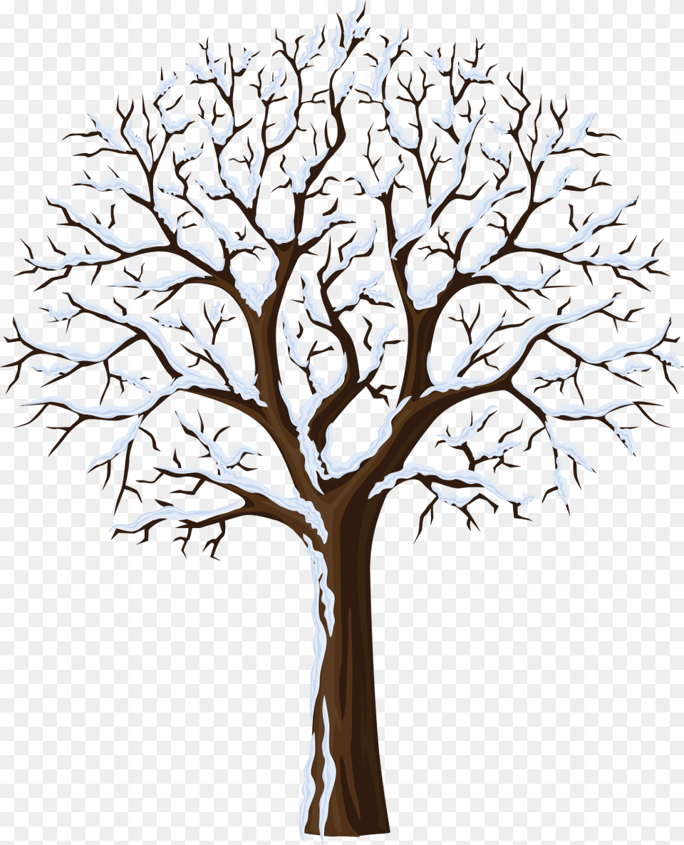 January Clipart Snowtree Winter Season Tree Clipart, Plant, Tree Trunk, Art, Wood Free Transparent Png