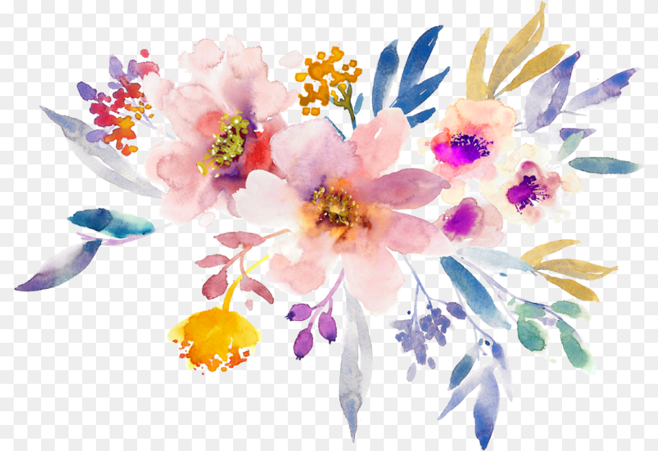 January Clipart Watercolor Watercolor Flower Borders, Plant, Petal, Flower Arrangement, Flower Bouquet Png
