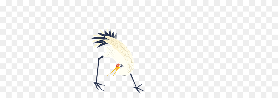 Japan Animal, Bird, Crane Bird, Stork Free Transparent Png