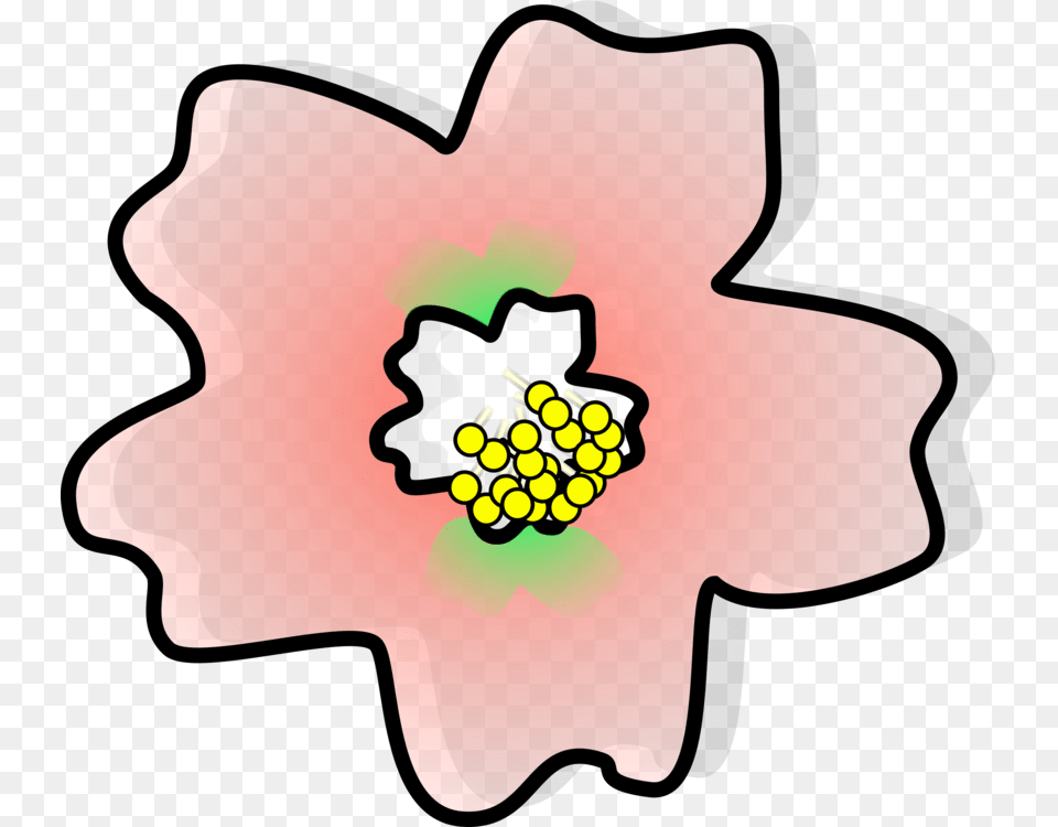 Japan Cherry Blossom Flower Drawing, Anther, Plant, Pollen, Hibiscus Free Png Download
