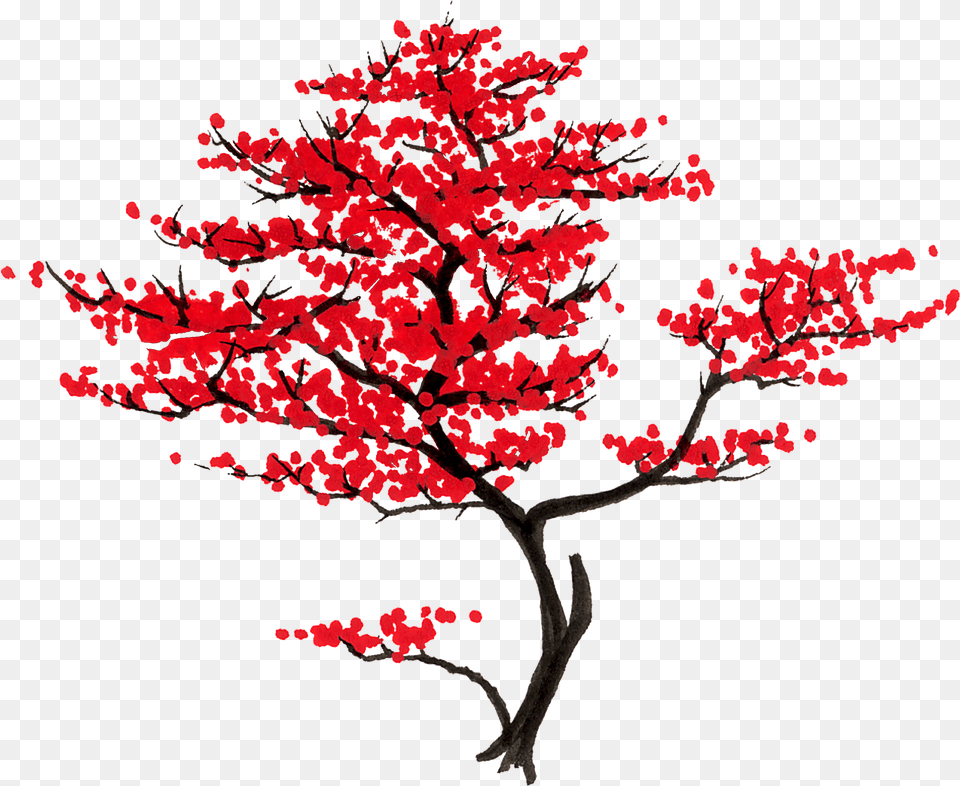 Japan Clipart Bonsai Japanese Japanese Maple Tree Clipart, Plant, Flower, Art, Painting Png