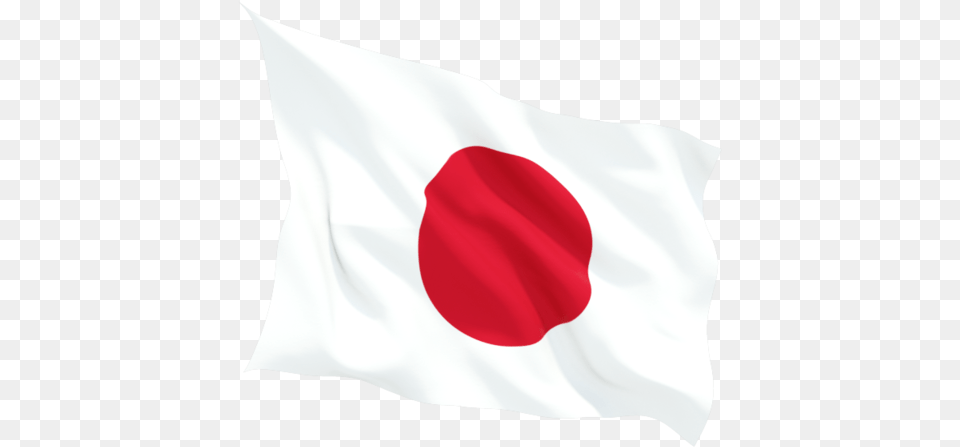 Japan Flag, Japan Flag, Person Free Transparent Png