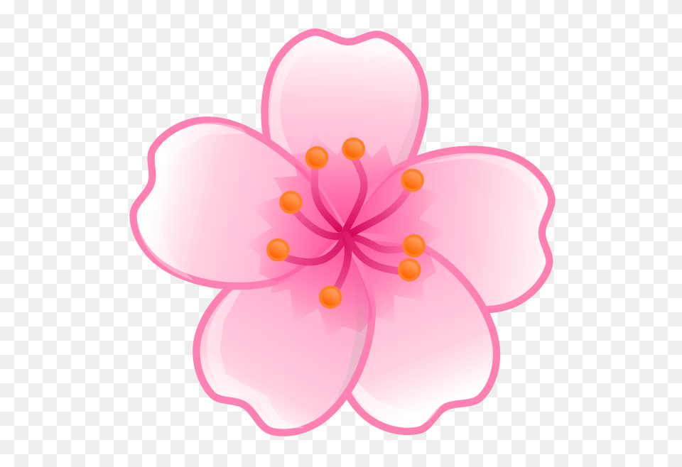 Japan Flower Clipart, Plant, Petal, Cherry Blossom, Nature Free Png