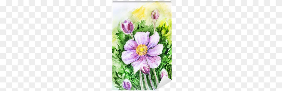 Japanese Anemones Flower Photography, Anemone, Painting, Plant, Art Free Transparent Png
