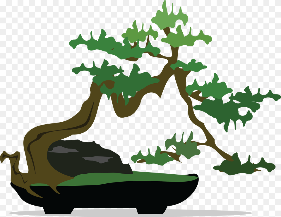 Japanese Bonsai Tree Clipart, Plant, Potted Plant, Person, Green Free Png