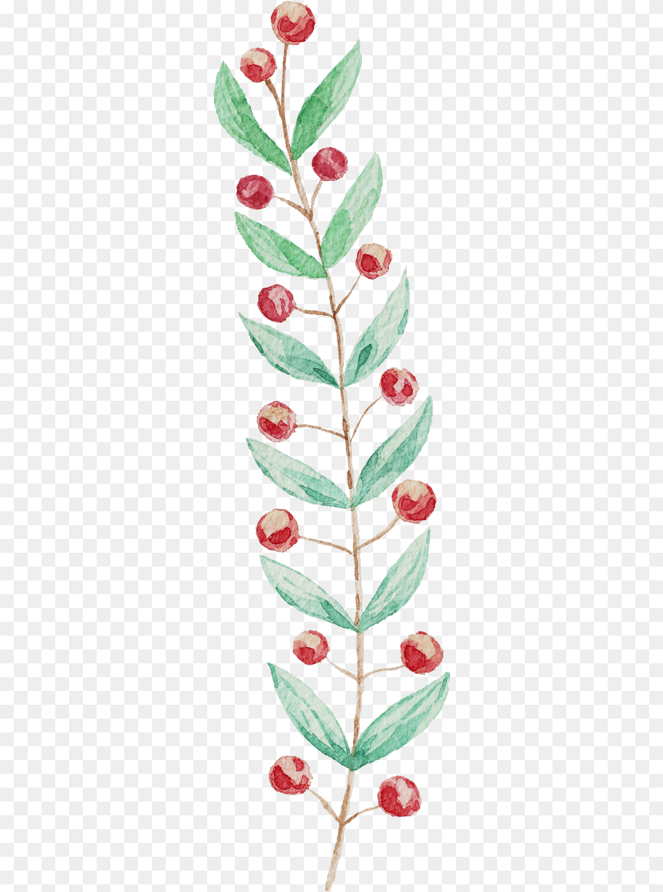 Japanese Camellia, Tree, Sprout, Plant, Petal Png