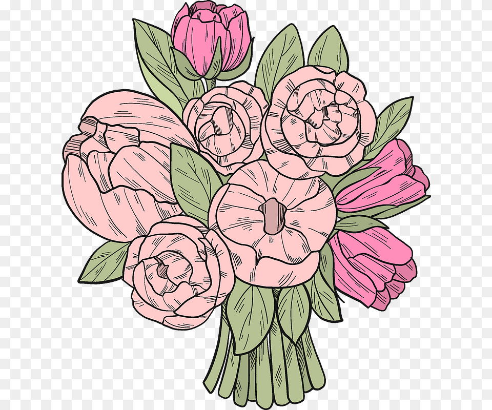 Japanese Camellia, Art, Flower, Plant, Drawing Png